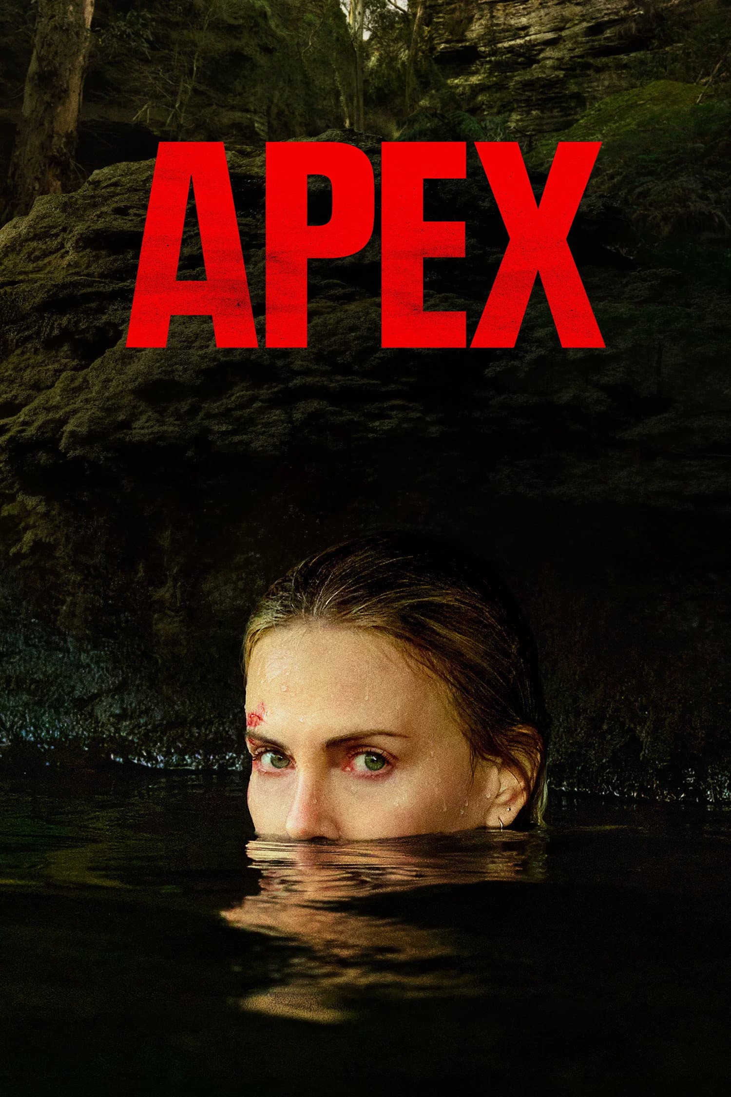 Movie poster of "Apex"