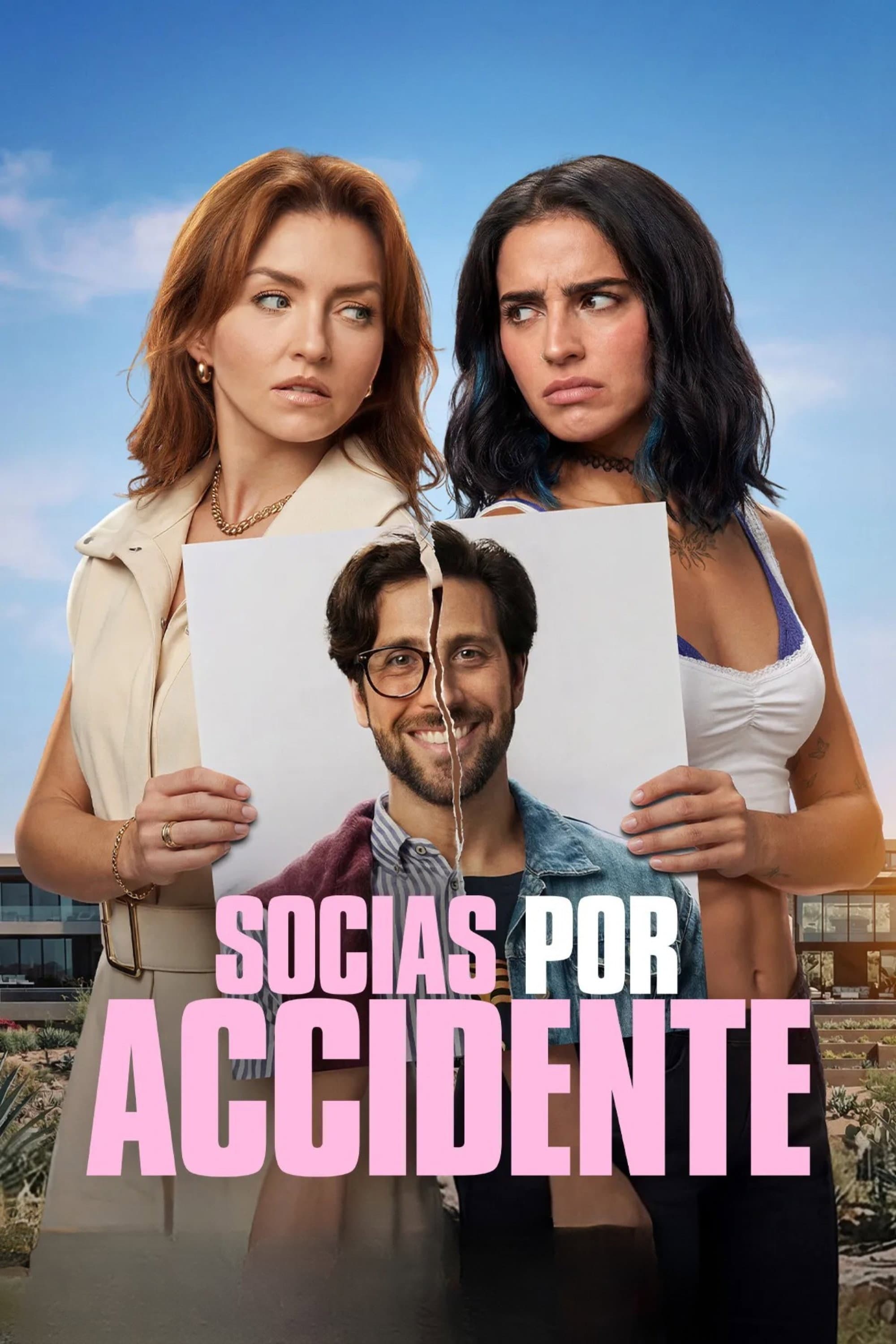 Movie poster of "Accidental Partners"