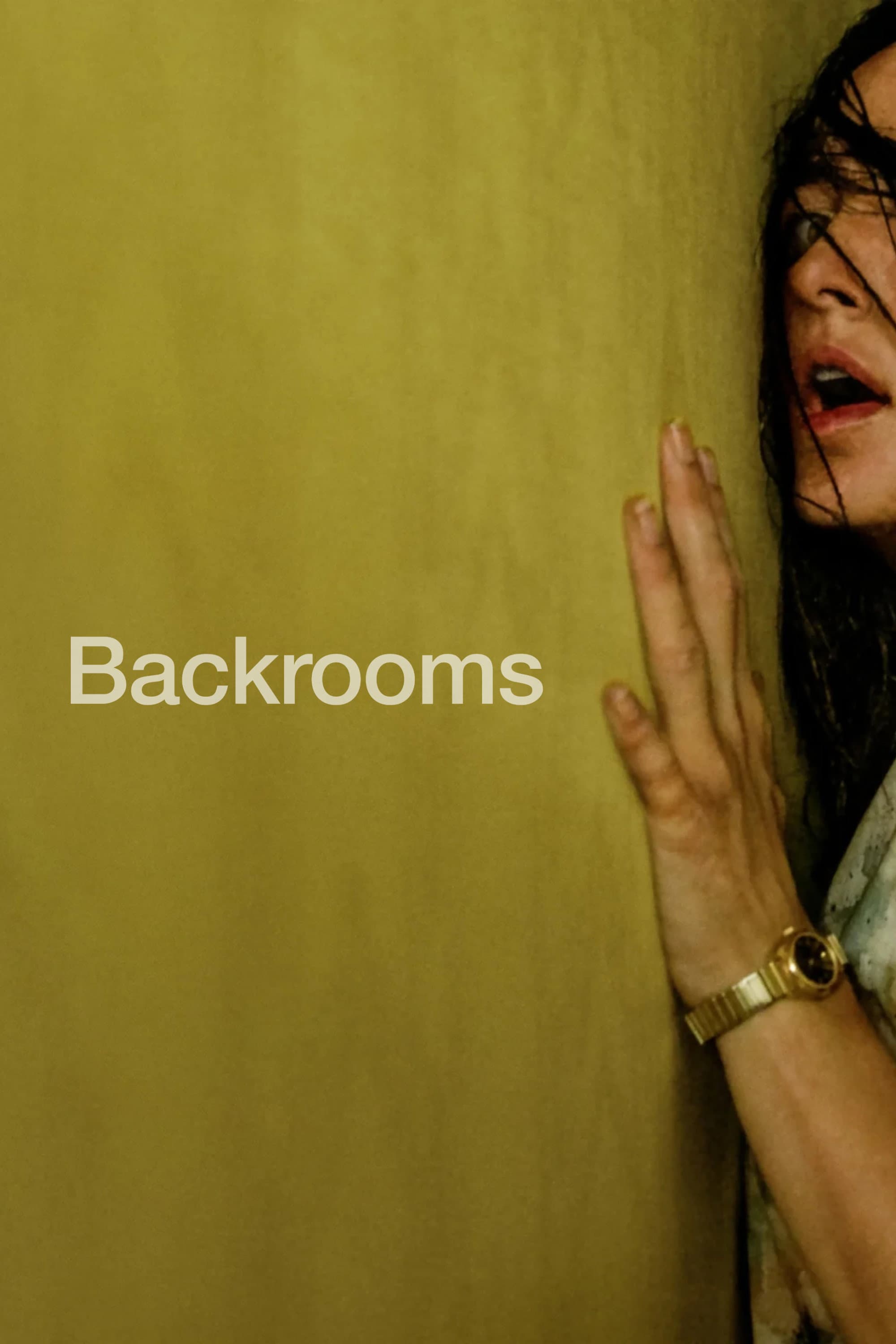 Movie poster of "Backrooms"