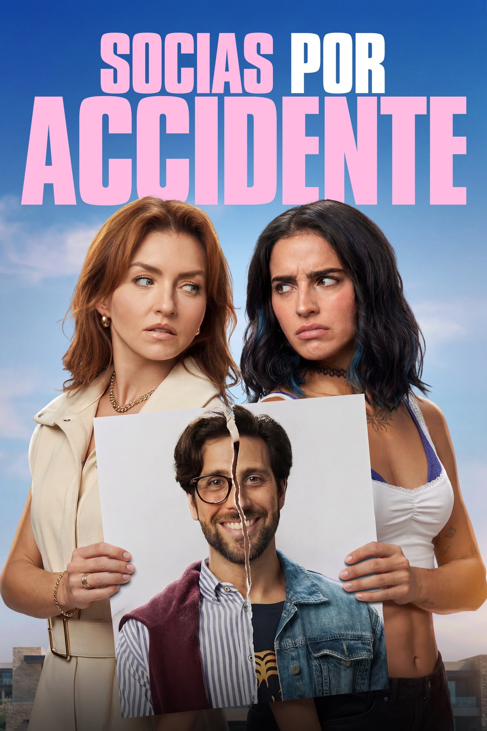 Movie poster of "Accidental Partners"