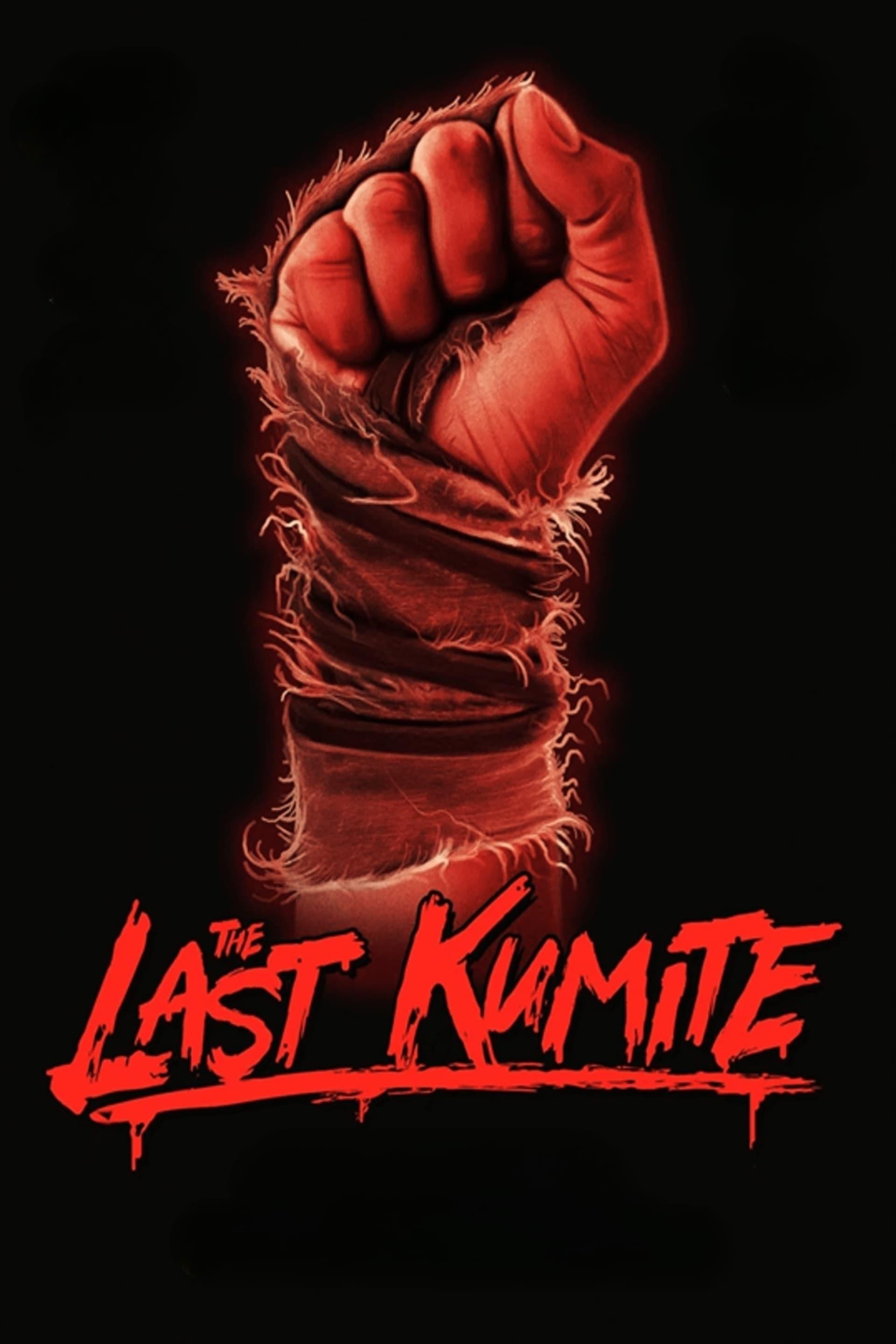Movie poster of "The Last Kumite"