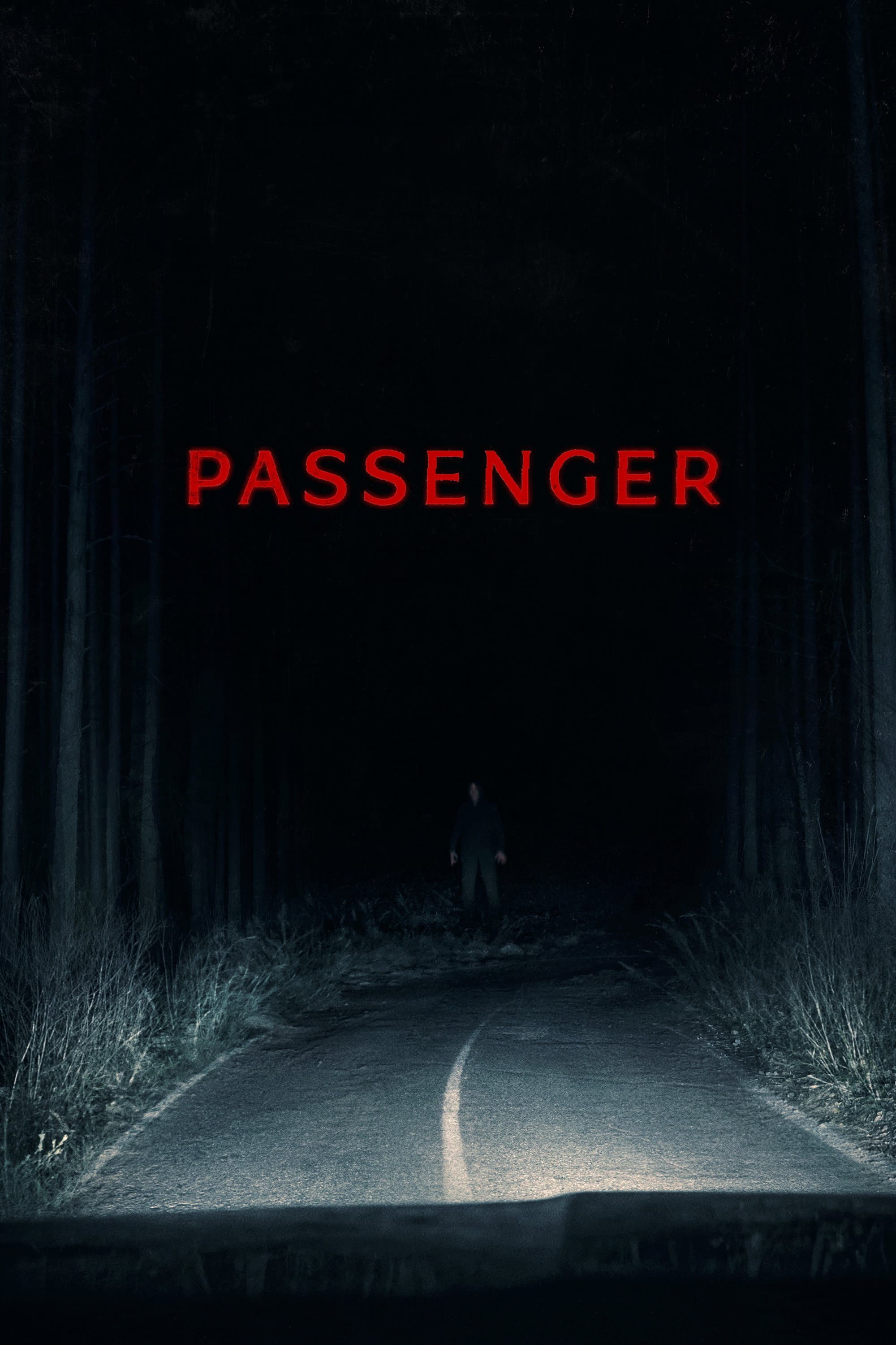 Movie poster of "Passenger"