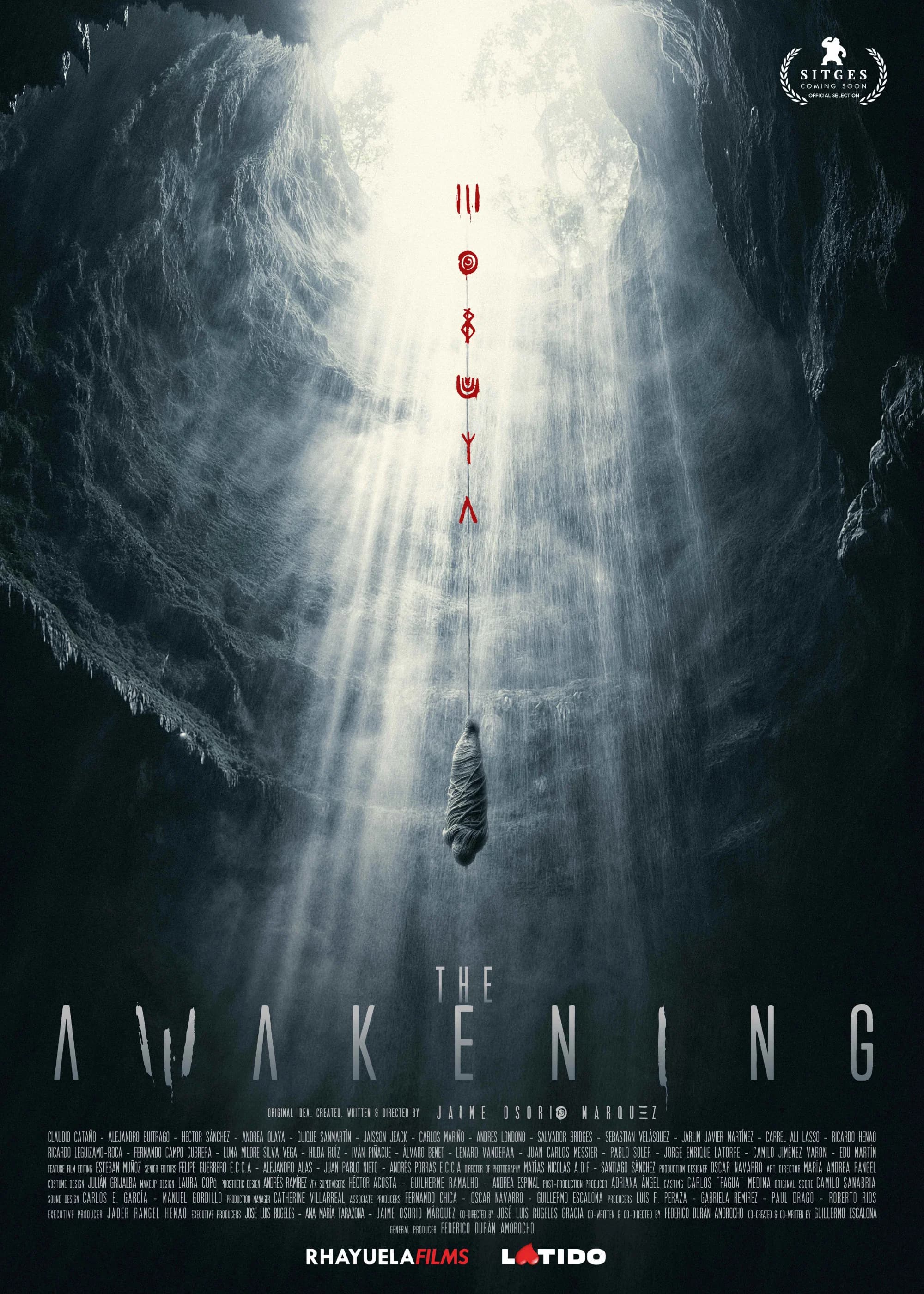 Movie poster of "The Awakening"